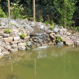 Teich im Garten - Garten- und Landschaftsgestaltung Werner Kortemeier